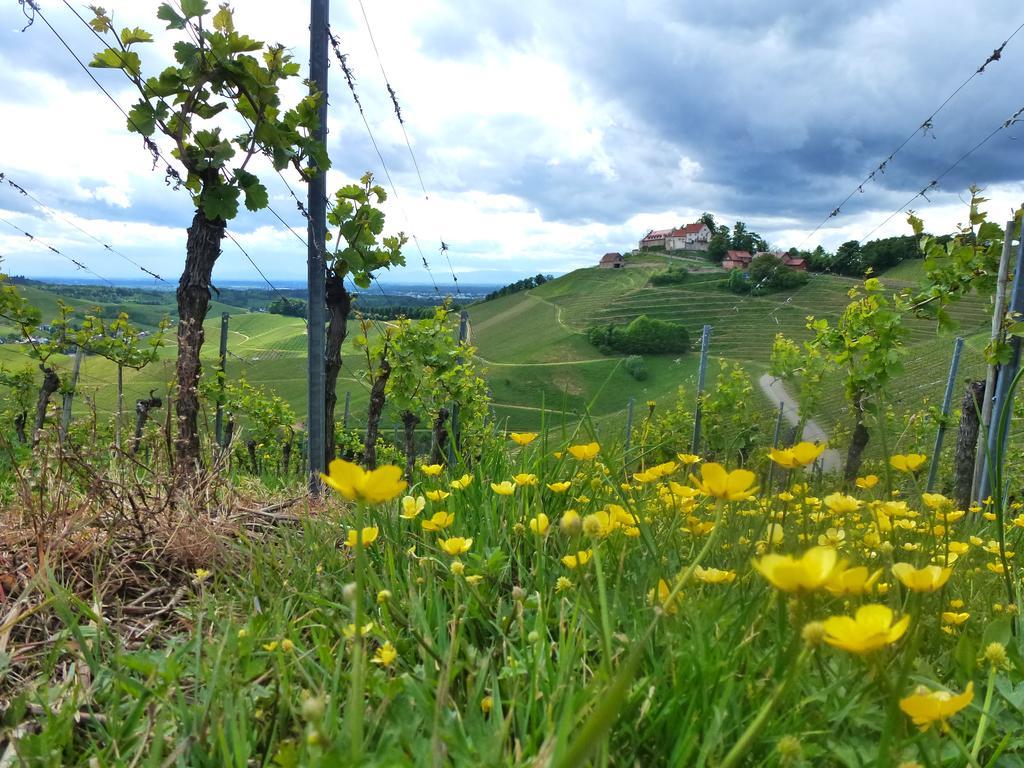 Baumanns Landhaus Durbach Esterno foto