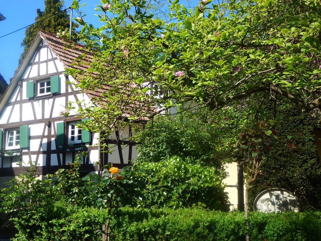 Baumanns Landhaus Durbach Esterno foto
