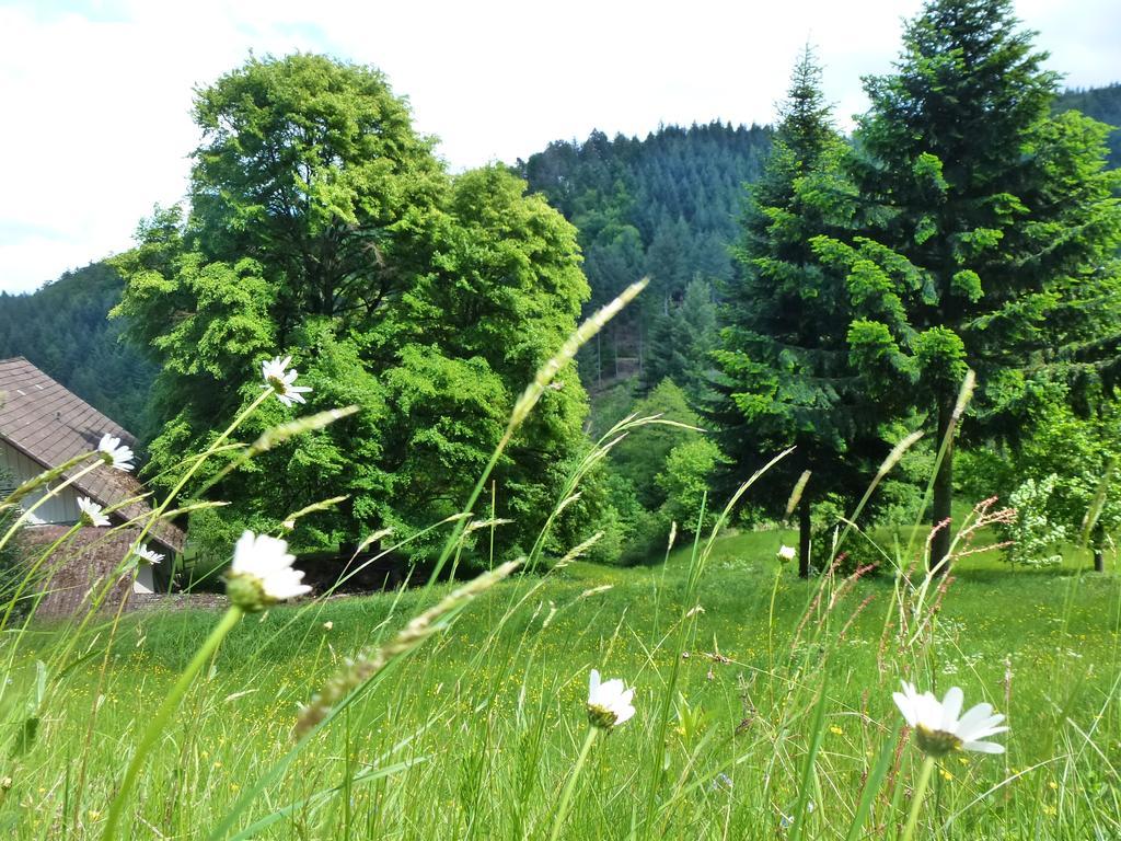 Baumanns Landhaus Durbach Esterno foto