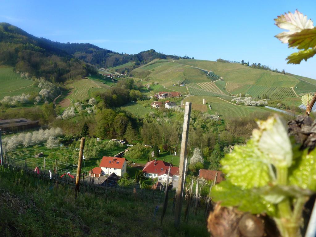 Baumanns Landhaus Durbach Esterno foto